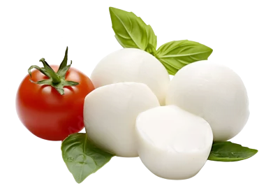 Mozzarella fresca