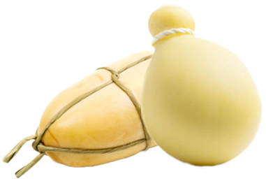 Provolone e caciocavallo